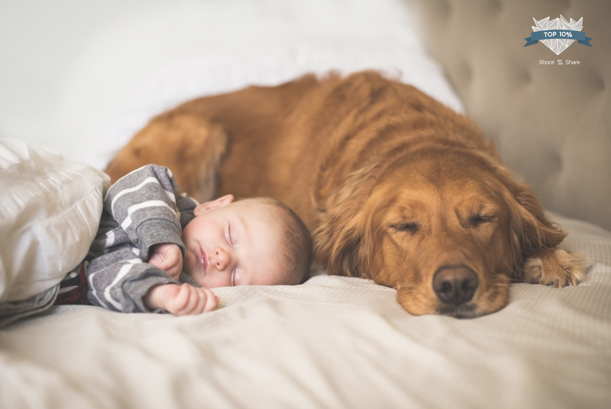 baby and golden retriever sleeping on bed